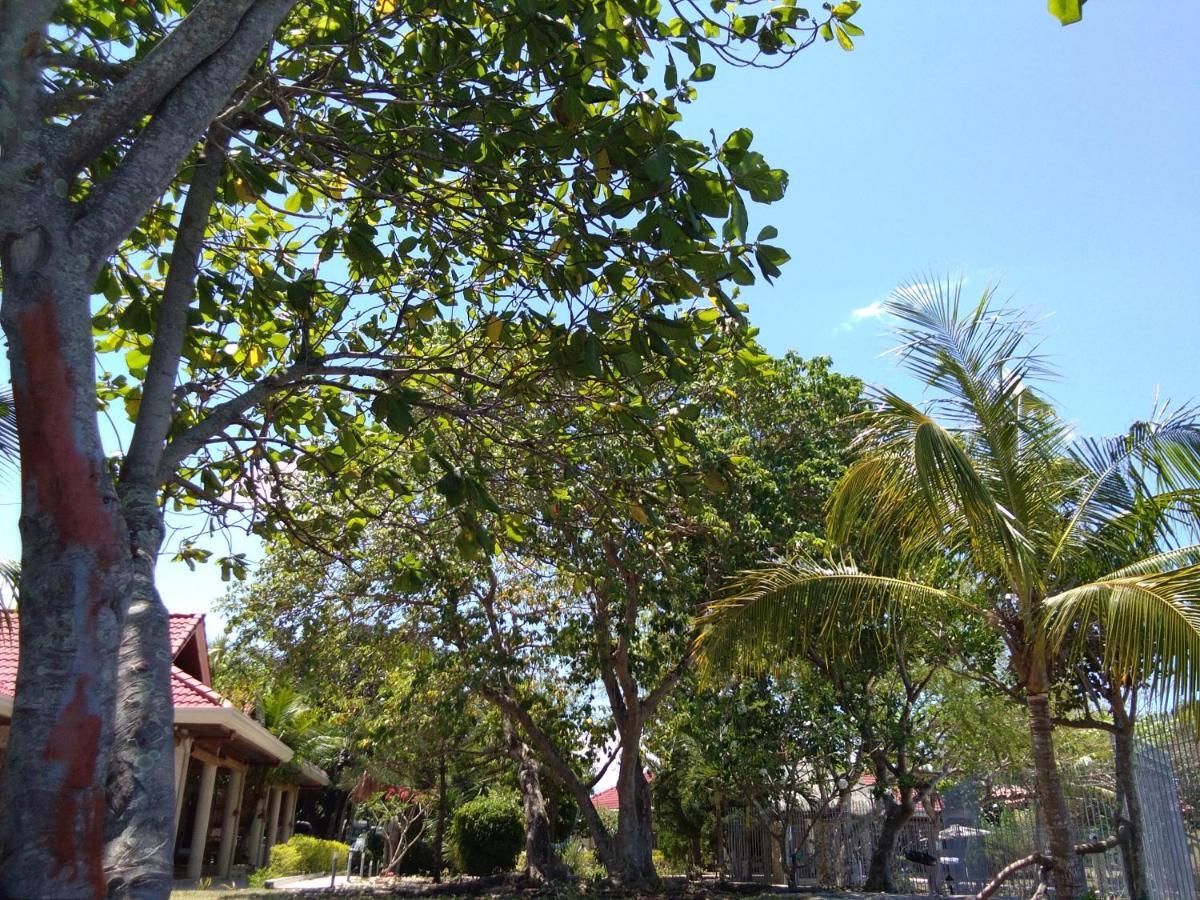 Ancelle Cristo Re Moalboal Exterior foto